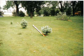 96 tornado 8.jpg (1405986 bytes)