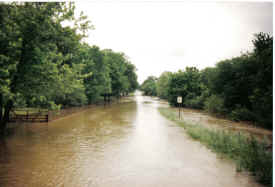flood of 95 3.jpg (551100 bytes)