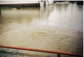 flood of 95.jpg (973291 bytes)